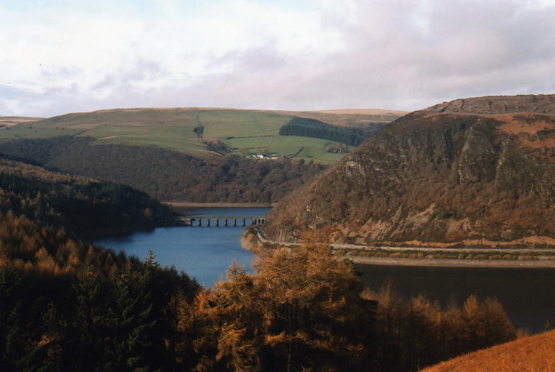A view of the lower lake lake view
