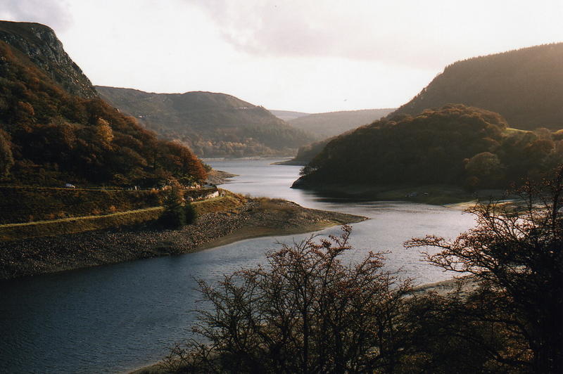 Another view of the lower lake lake view
